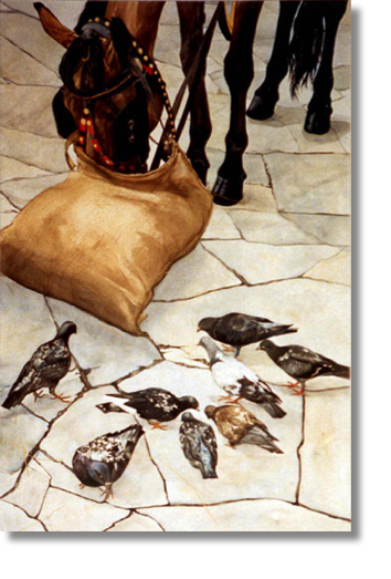 Horse & Pigeons
watercolour on paper
40 x 60 cm